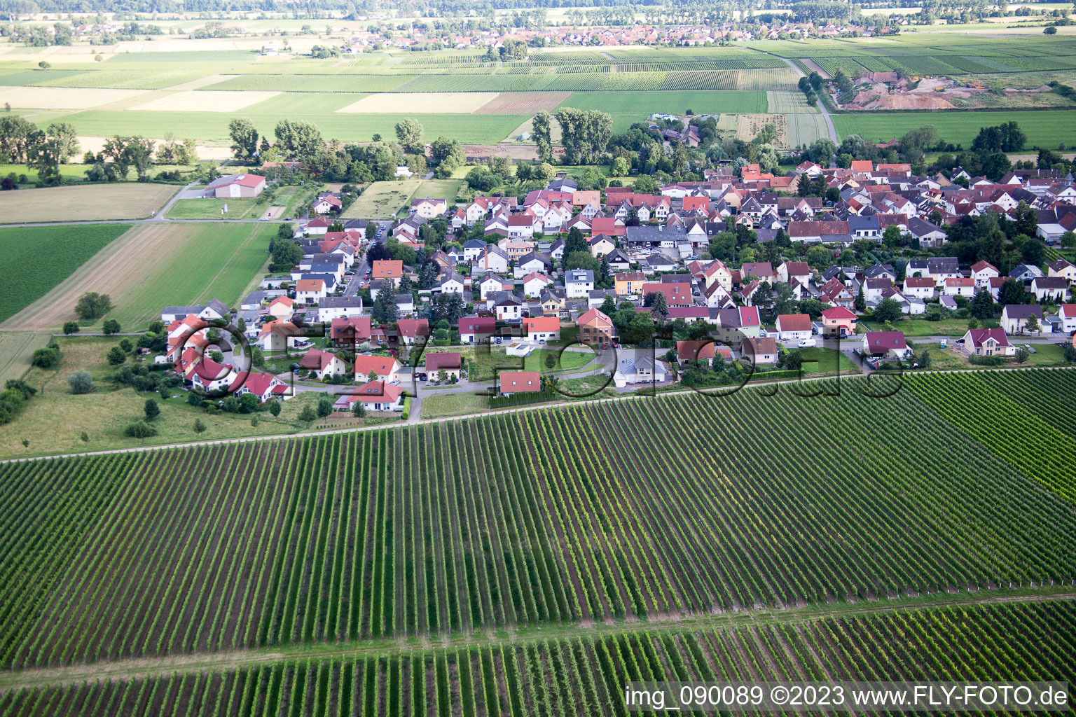 Oblique view of District Duttweiler in Neustadt an der Weinstraße in the state Rhineland-Palatinate, Germany