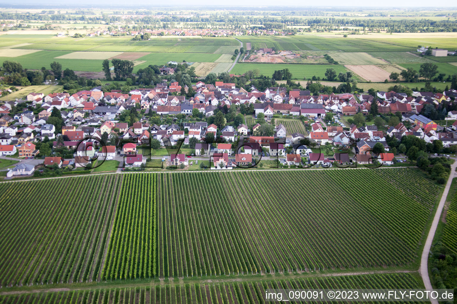 Oblique view of District Duttweiler in Neustadt an der Weinstraße in the state Rhineland-Palatinate, Germany