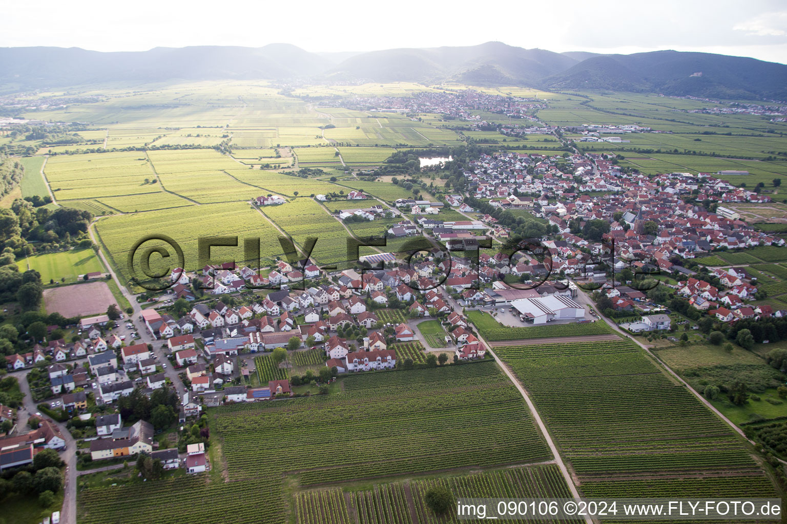 Kirrweiler in the state Rhineland-Palatinate, Germany from a drone