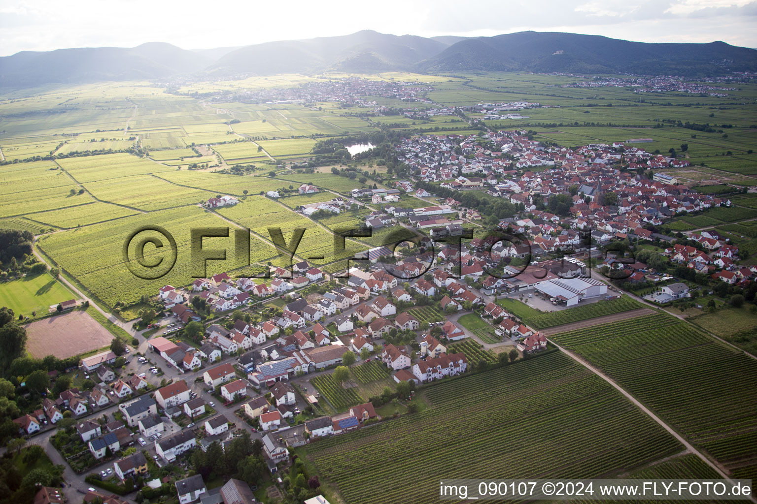 Kirrweiler in the state Rhineland-Palatinate, Germany seen from a drone