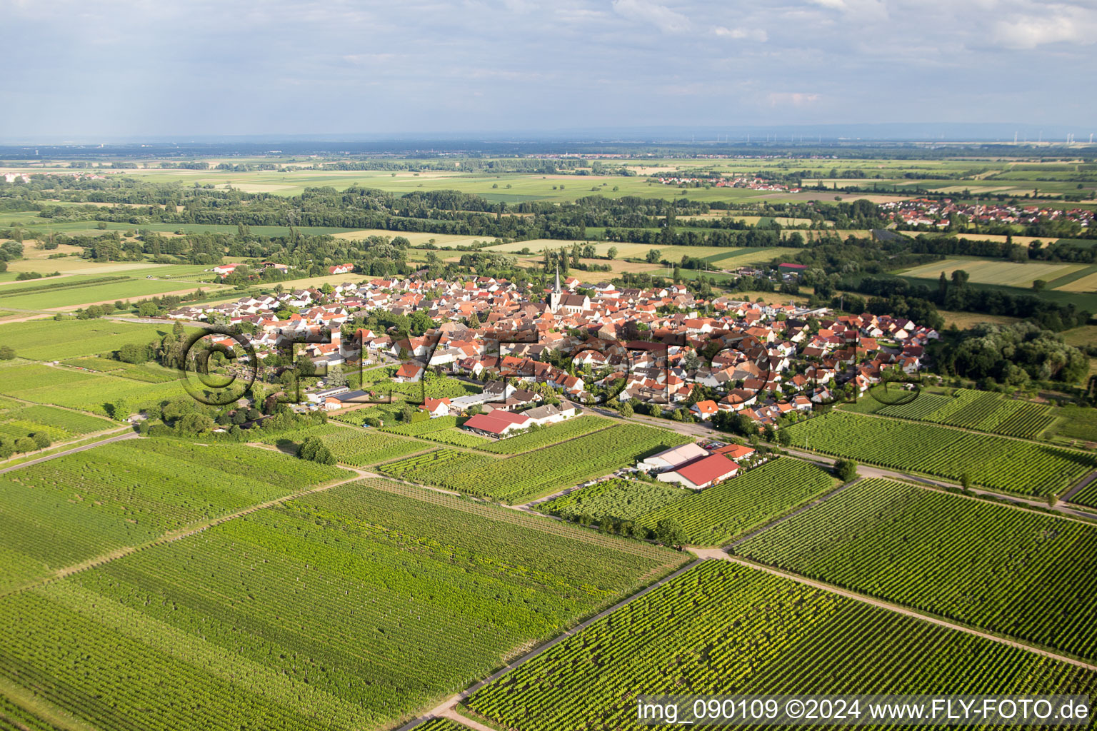 Venningen in the state Rhineland-Palatinate, Germany from the plane