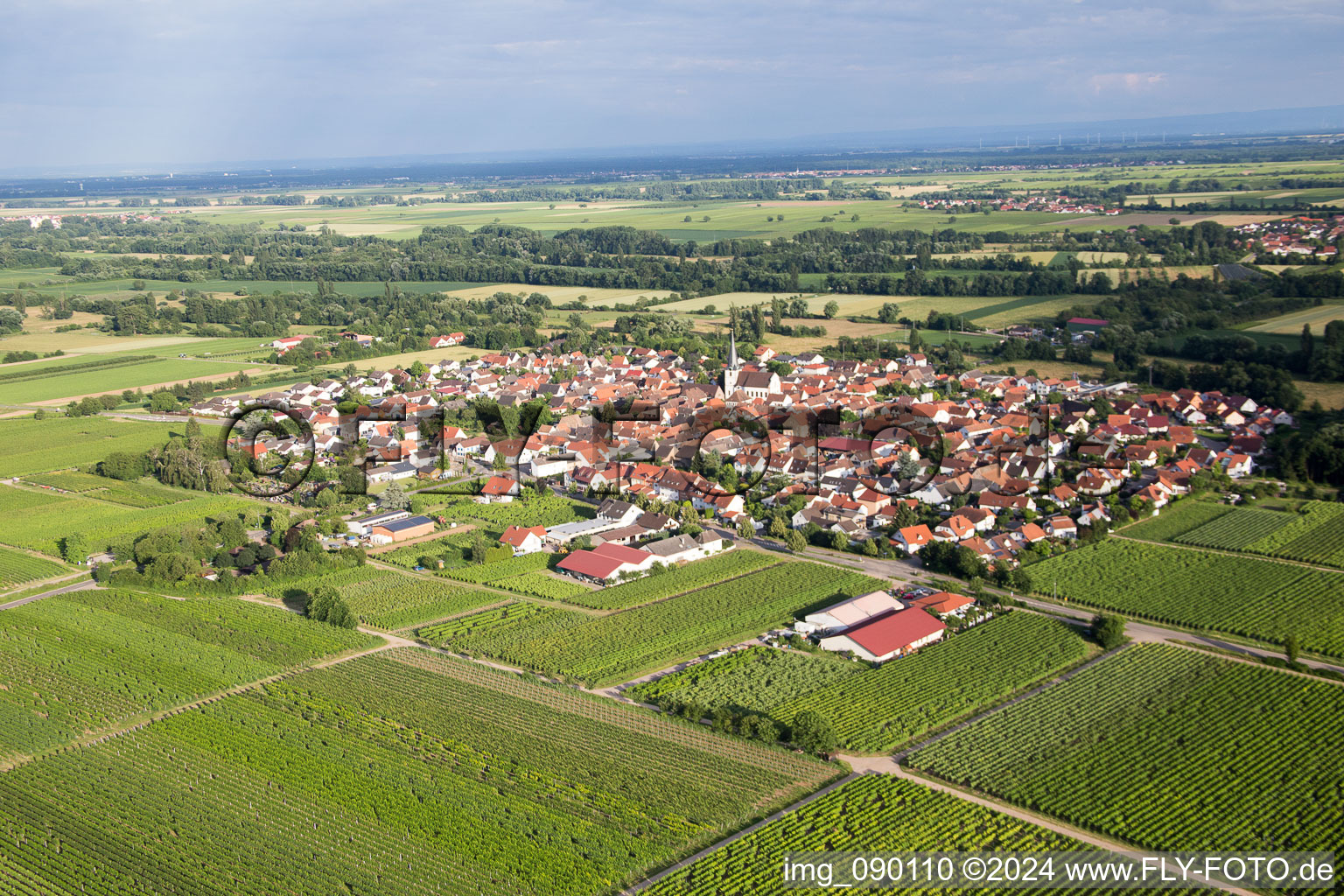 Bird's eye view of Venningen in the state Rhineland-Palatinate, Germany