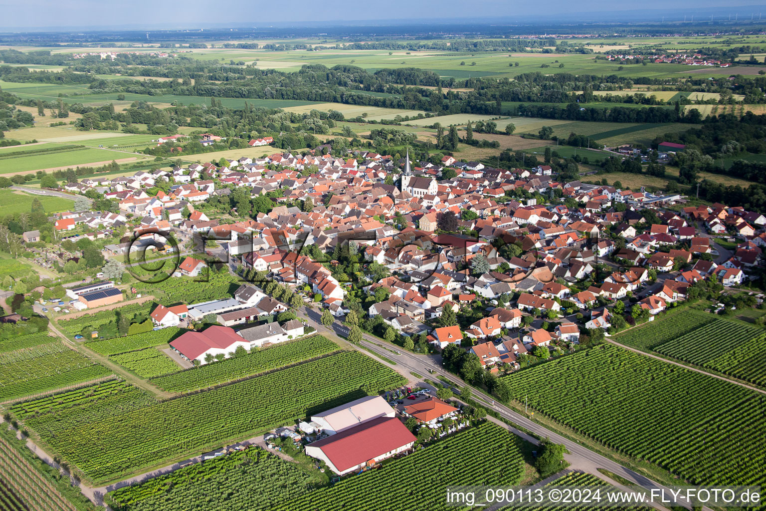 Drone image of Venningen in the state Rhineland-Palatinate, Germany