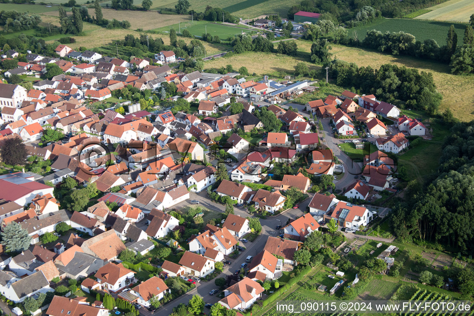 Venningen in the state Rhineland-Palatinate, Germany from the drone perspective