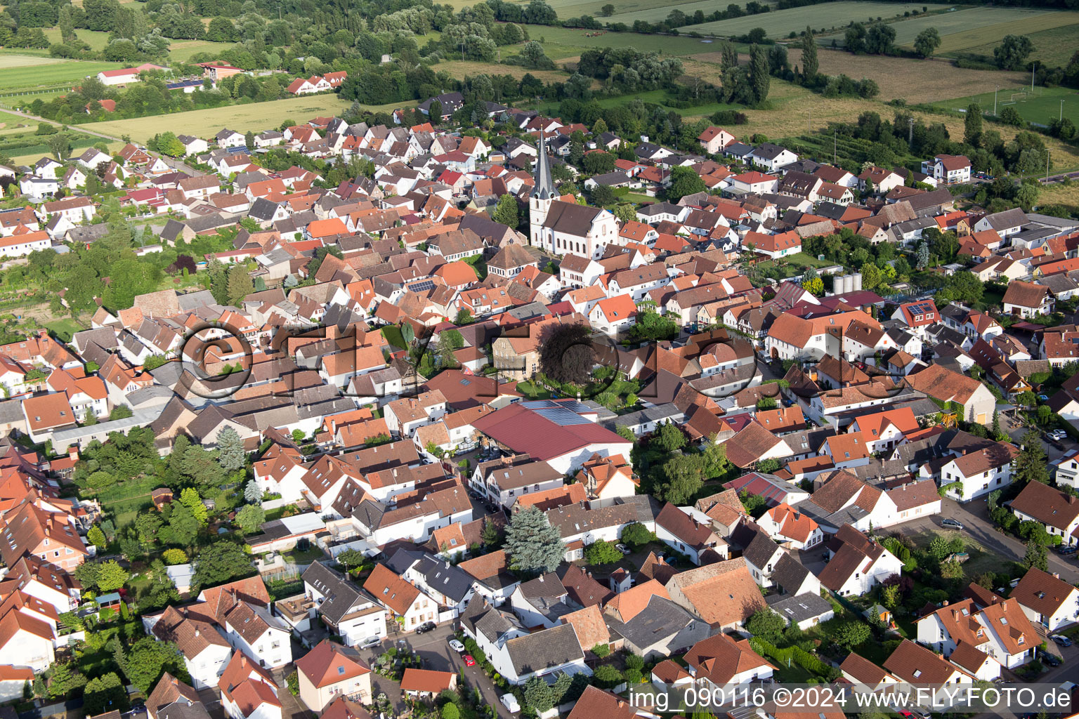 Venningen in the state Rhineland-Palatinate, Germany from a drone