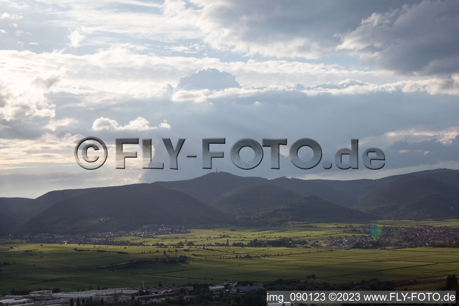 Aerial view of Kalmit in Edenkoben in the state Rhineland-Palatinate, Germany