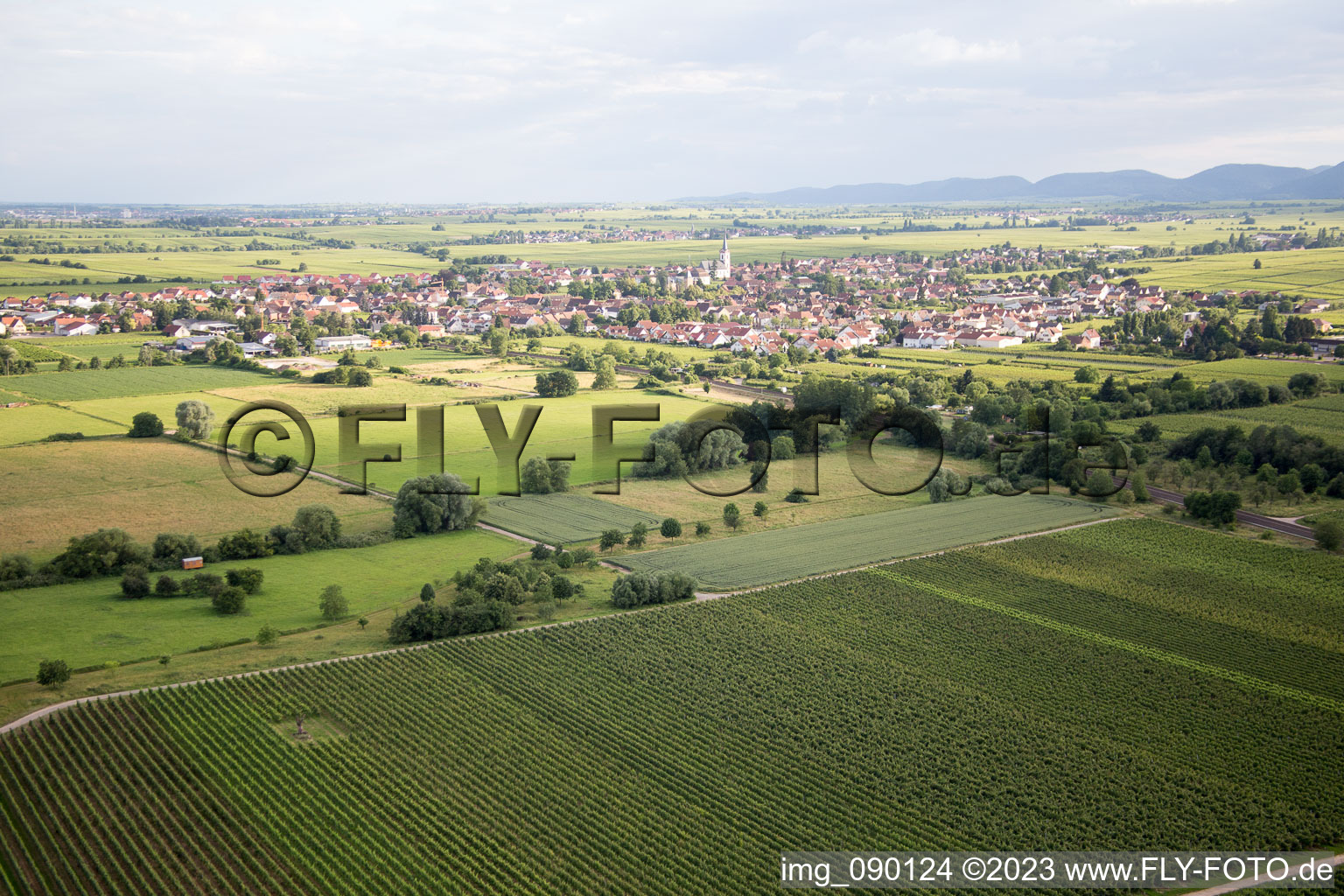 Drone image of Edesheim in the state Rhineland-Palatinate, Germany