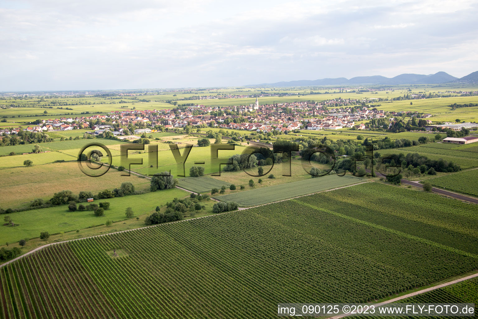 Edesheim in the state Rhineland-Palatinate, Germany from the drone perspective