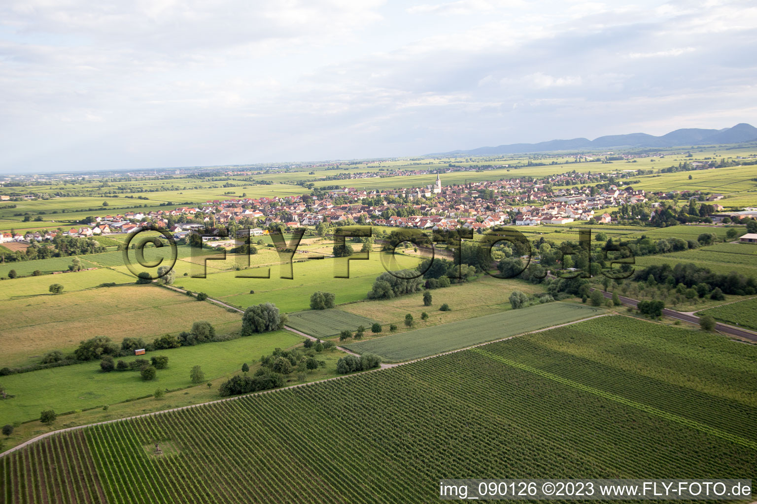 Edesheim in the state Rhineland-Palatinate, Germany from a drone