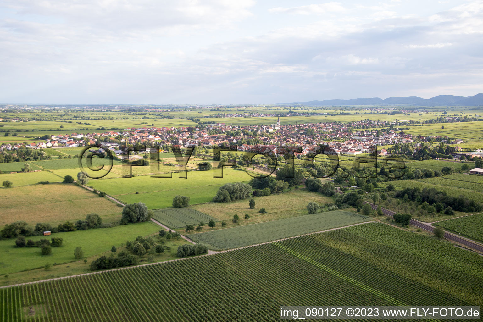 Edesheim in the state Rhineland-Palatinate, Germany seen from a drone