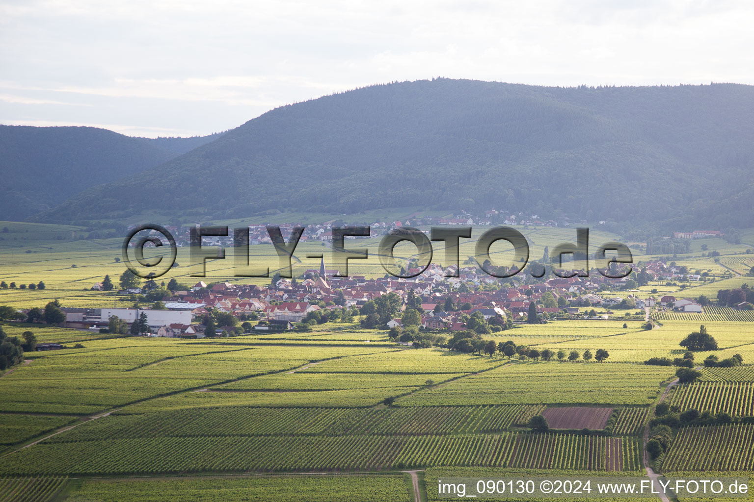 Aerial view of Rhodt unter Rietburg in the state Rhineland-Palatinate, Germany