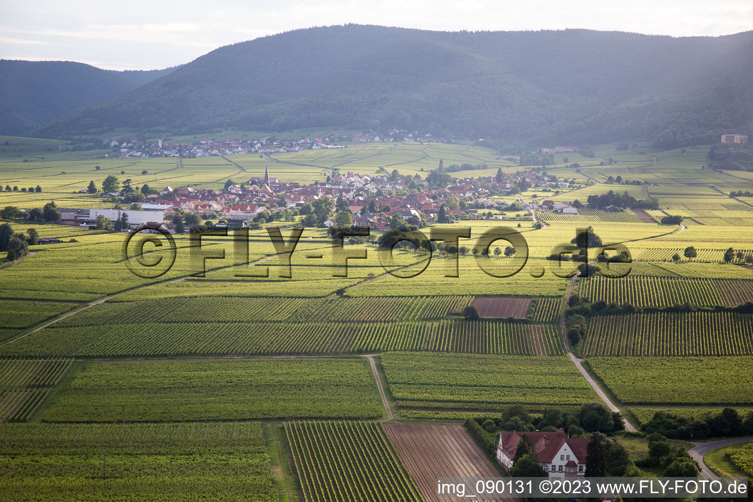 Aerial photograpy of Rhodt unter Rietburg in the state Rhineland-Palatinate, Germany