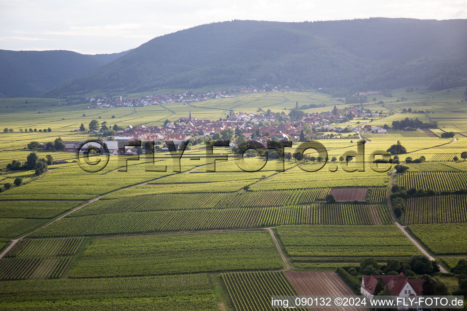 Oblique view of Rhodt unter Rietburg in the state Rhineland-Palatinate, Germany