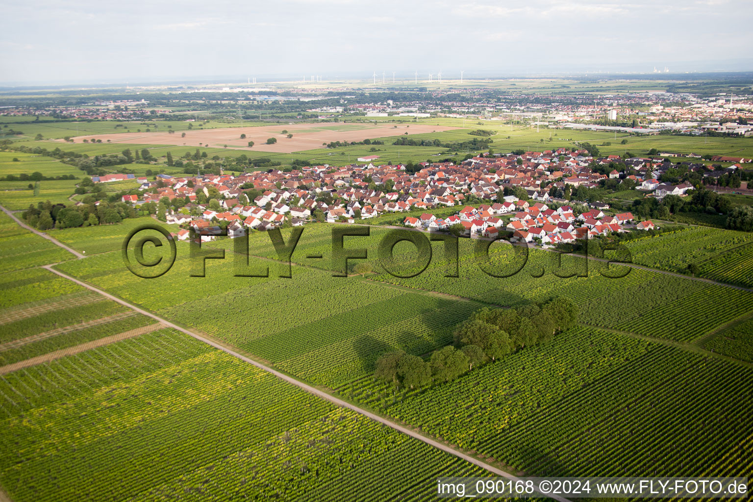 Aerial photograpy of District Nußdorf in Landau in der Pfalz in the state Rhineland-Palatinate, Germany