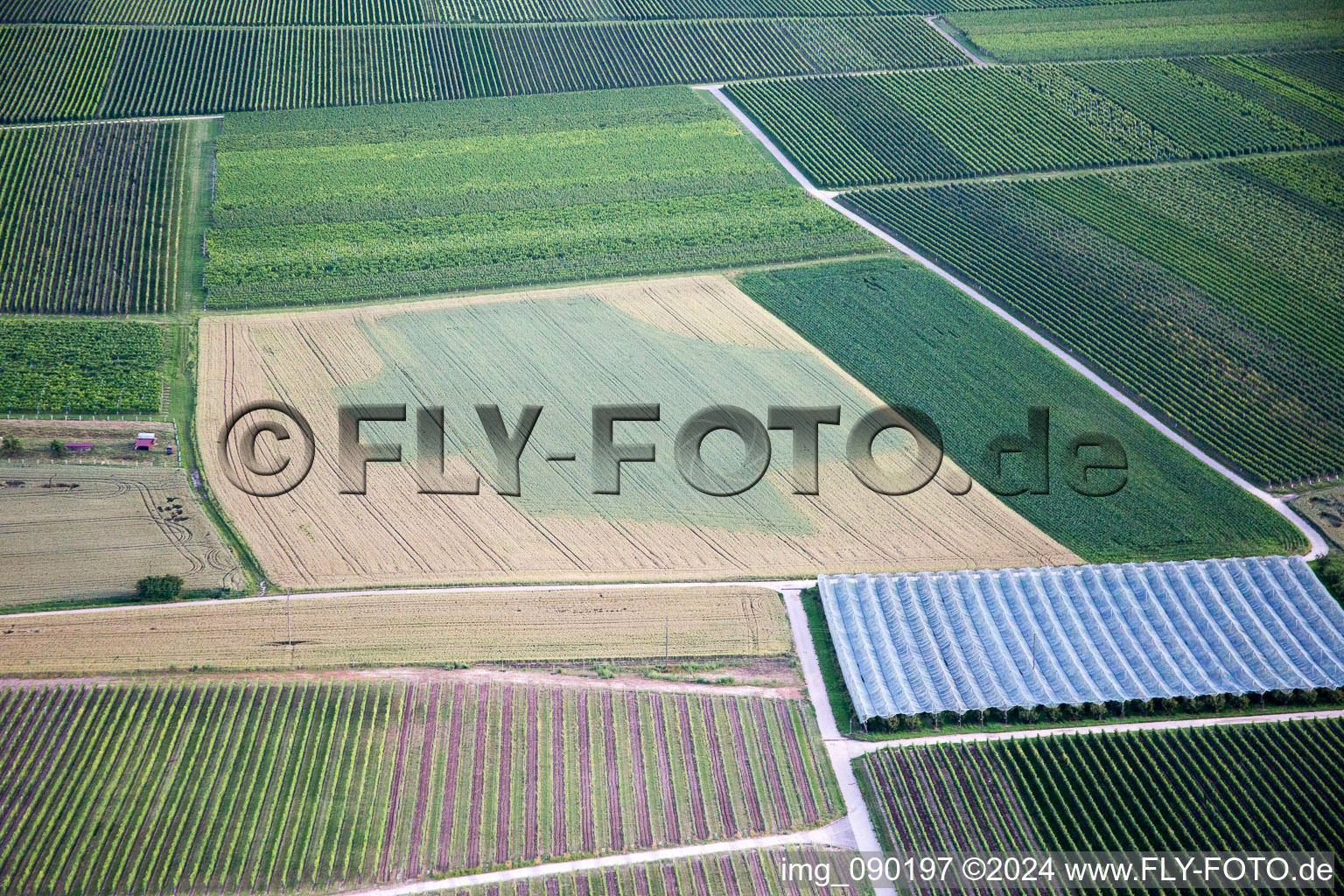 Impflingen in the state Rhineland-Palatinate, Germany from the plane