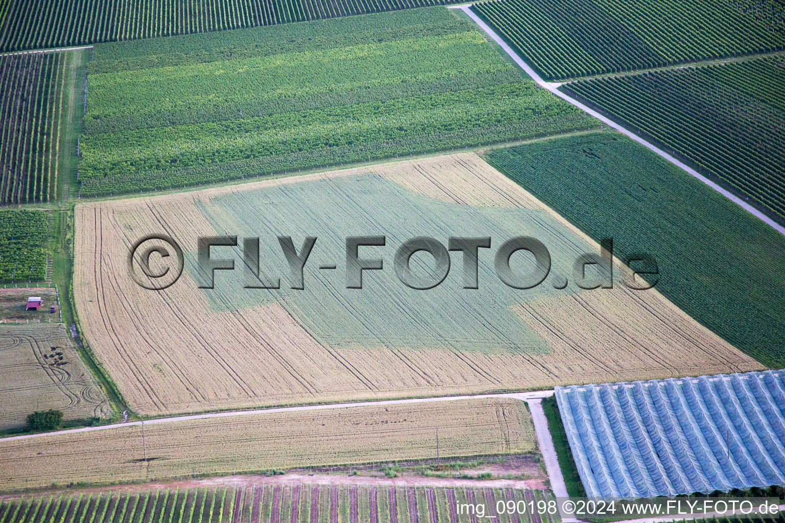 Bird's eye view of Impflingen in the state Rhineland-Palatinate, Germany