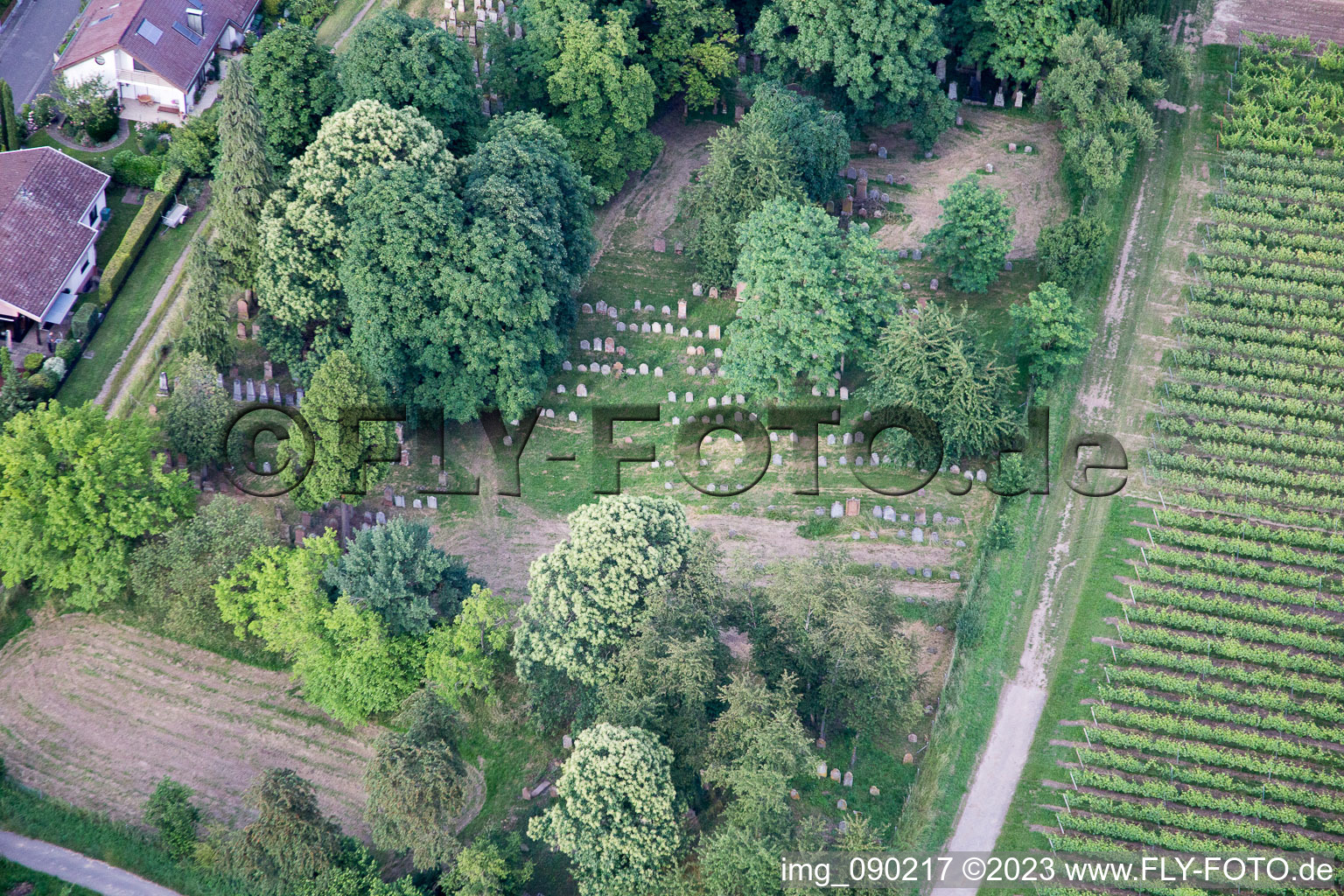 Old graveyard in the district Ingenheim in Billigheim-Ingenheim in the state Rhineland-Palatinate, Germany