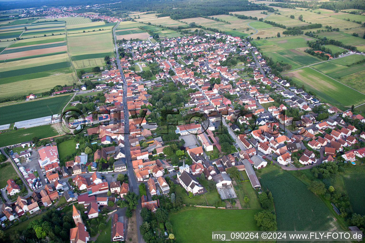 Aerial view of Minfeld in the state Rhineland-Palatinate, Germany