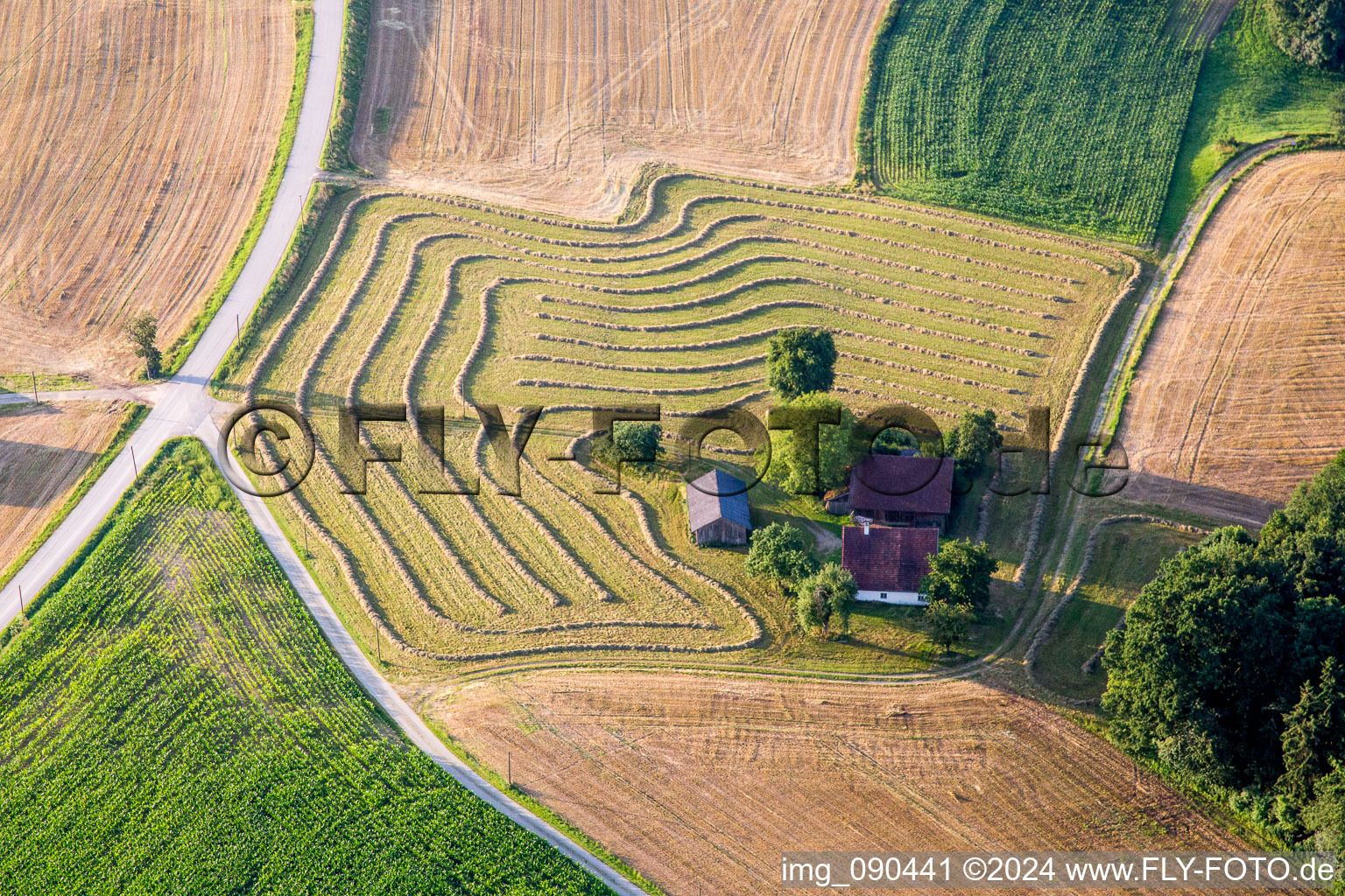 Farm on the edge of mowed meadows in Reisbach in the state Bavaria