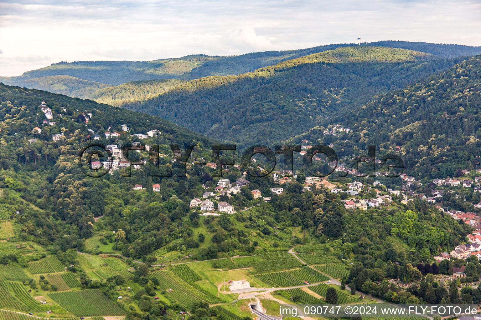 Villas on the Branichhang in Schriesheim in the state Baden-Wuerttemberg, Germany