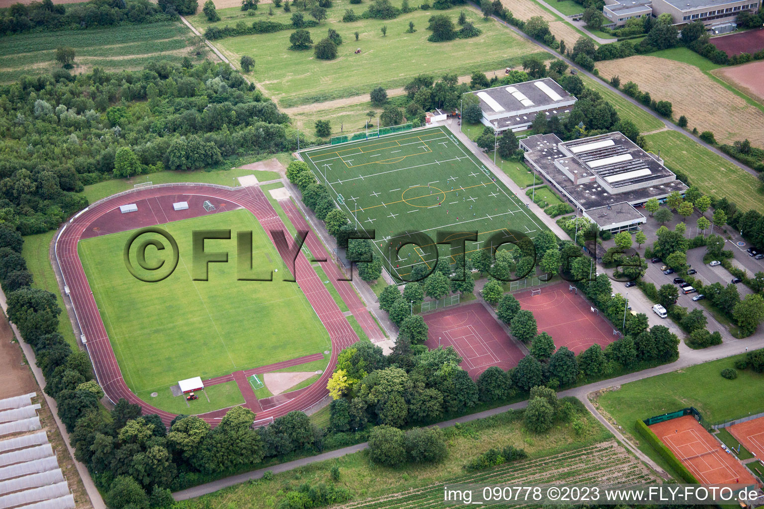 Lions Park, Arena of the Lions in the district Handschuhsheimer in Heidelberg in the state Baden-Wuerttemberg, Germany