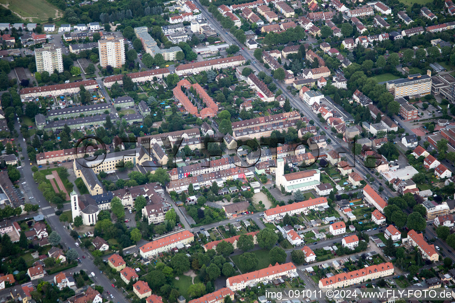 Aerial view of District Gartenstadt in Ludwigshafen am Rhein in the state Rhineland-Palatinate, Germany