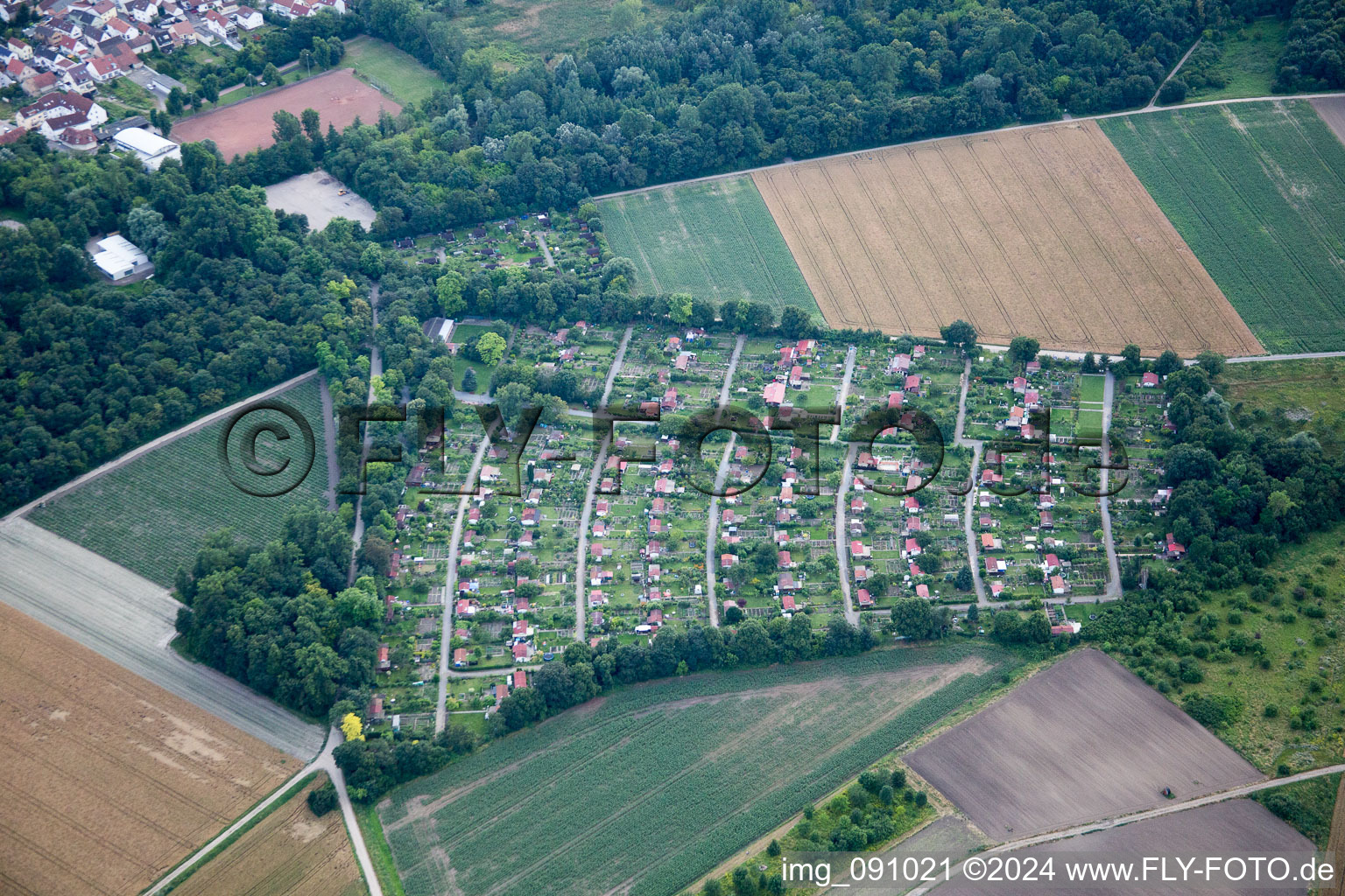 Allotment garden in the district Maudach in Ludwigshafen am Rhein in the state Rhineland-Palatinate, Germany