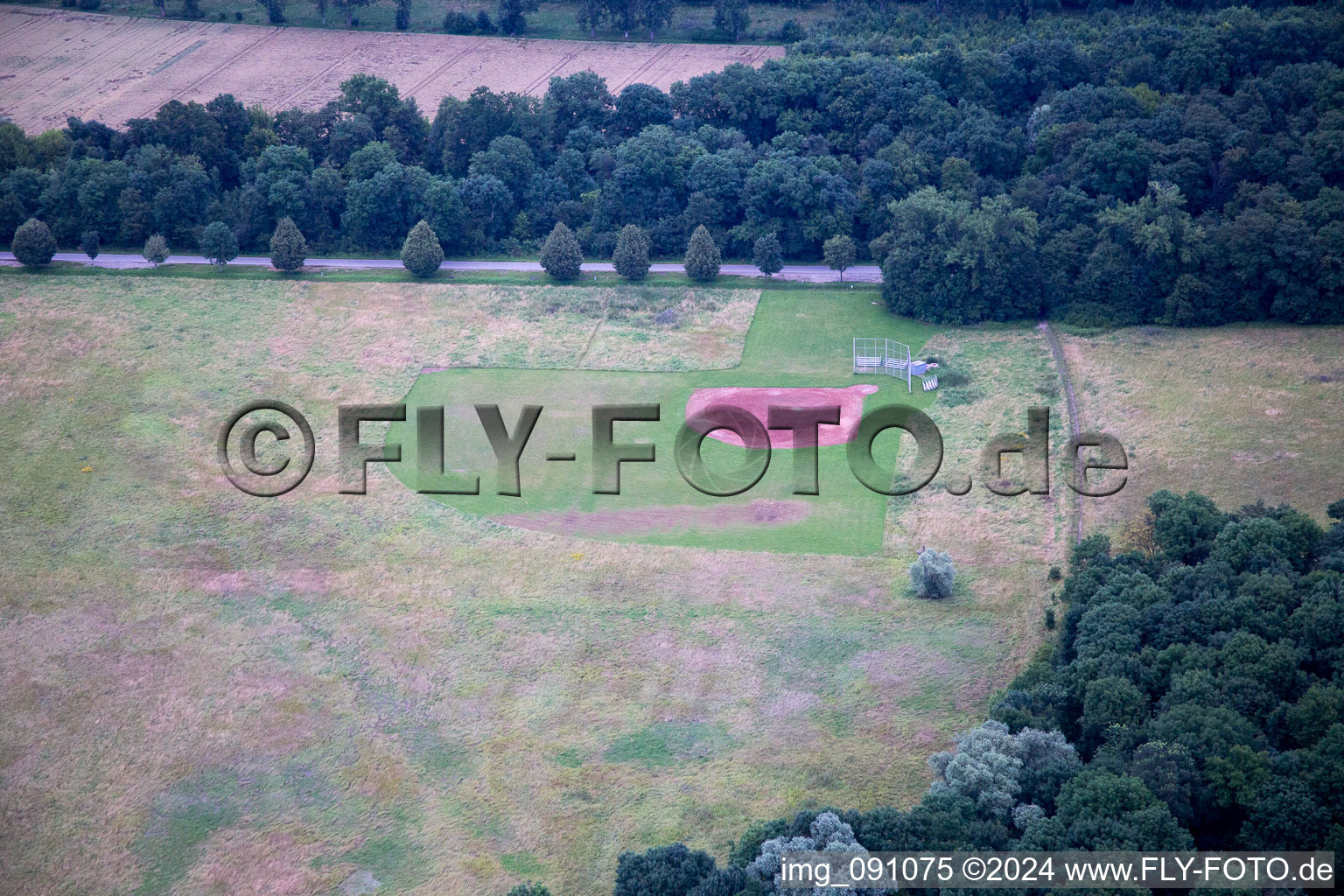 Worms in the state Rhineland-Palatinate, Germany viewn from the air