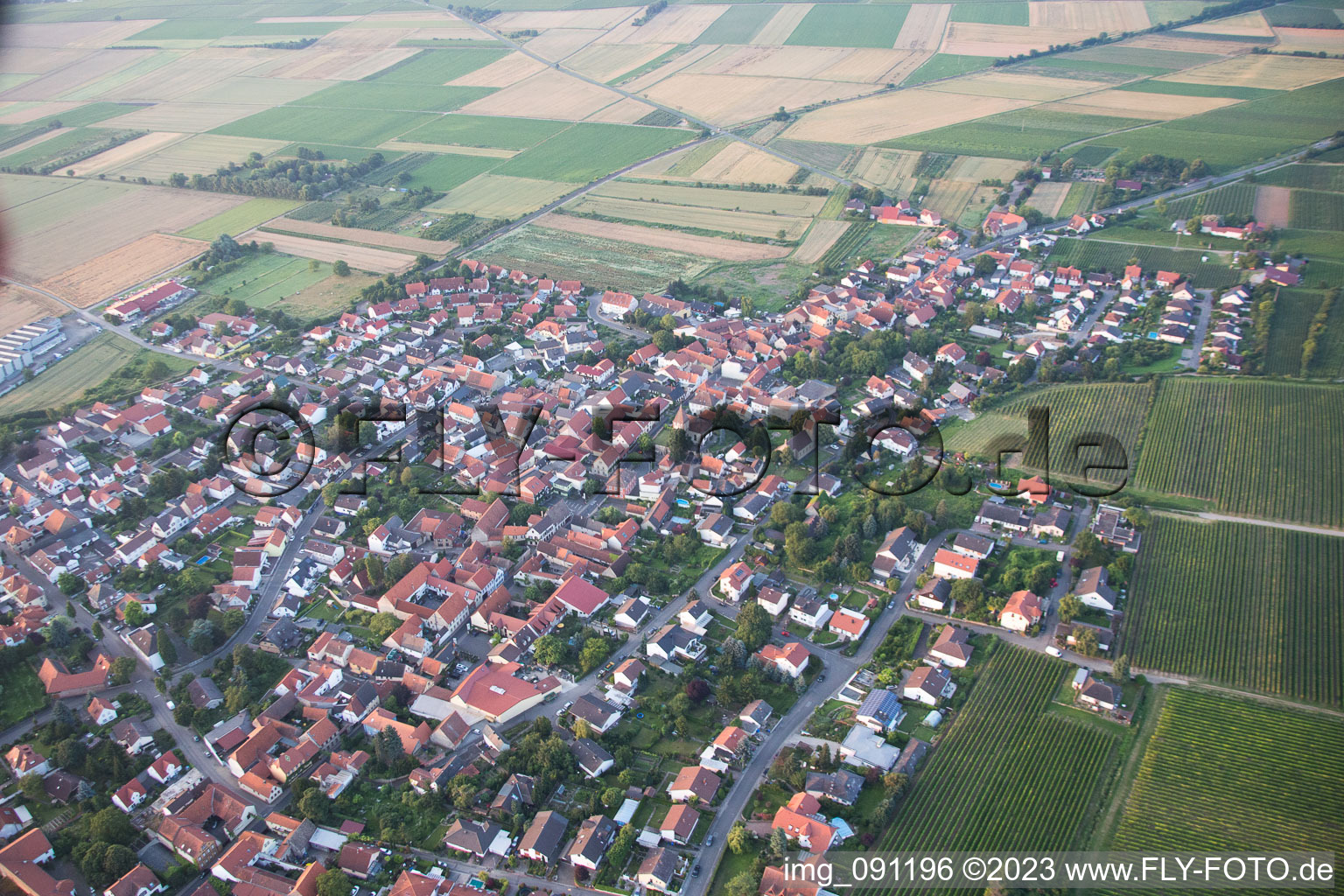 Oblique view of Bockenheim an der Weinstraße in the state Rhineland-Palatinate, Germany