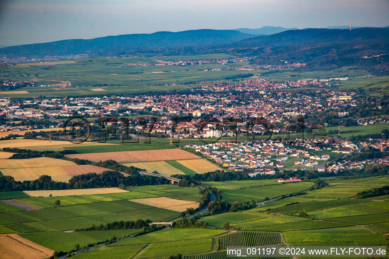 From the north in the district Asselheim in Grünstadt in the state Rhineland-Palatinate, Germany