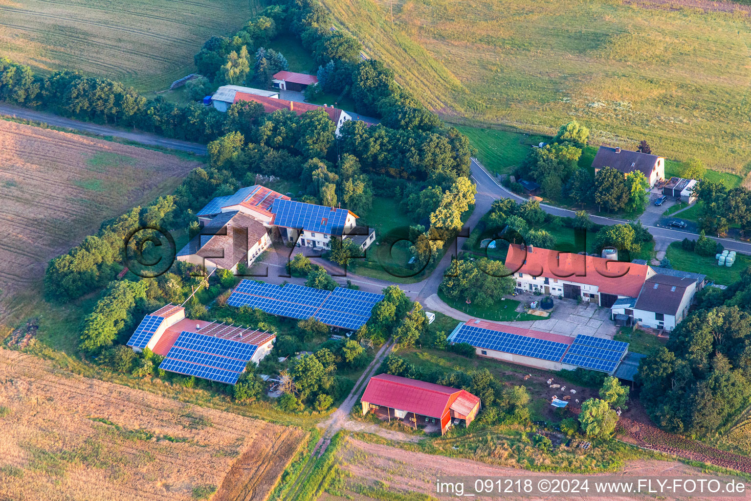 Aerial view of Göllheim in the state Rhineland-Palatinate, Germany