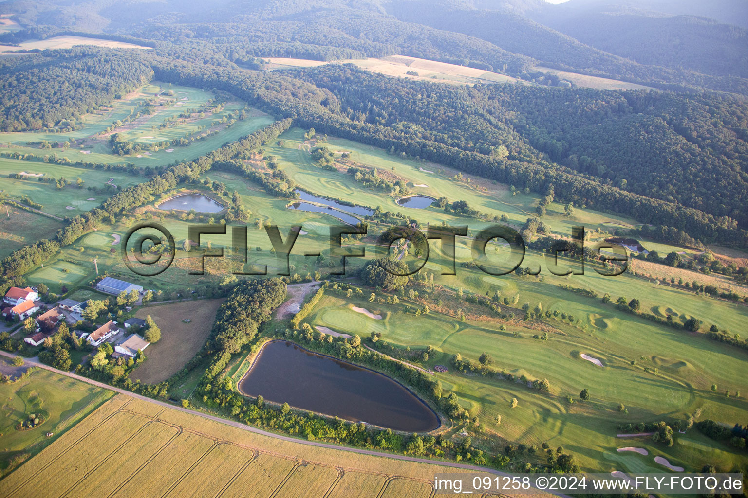 Bird's eye view of Golf in Börrstadt in the state Rhineland-Palatinate, Germany