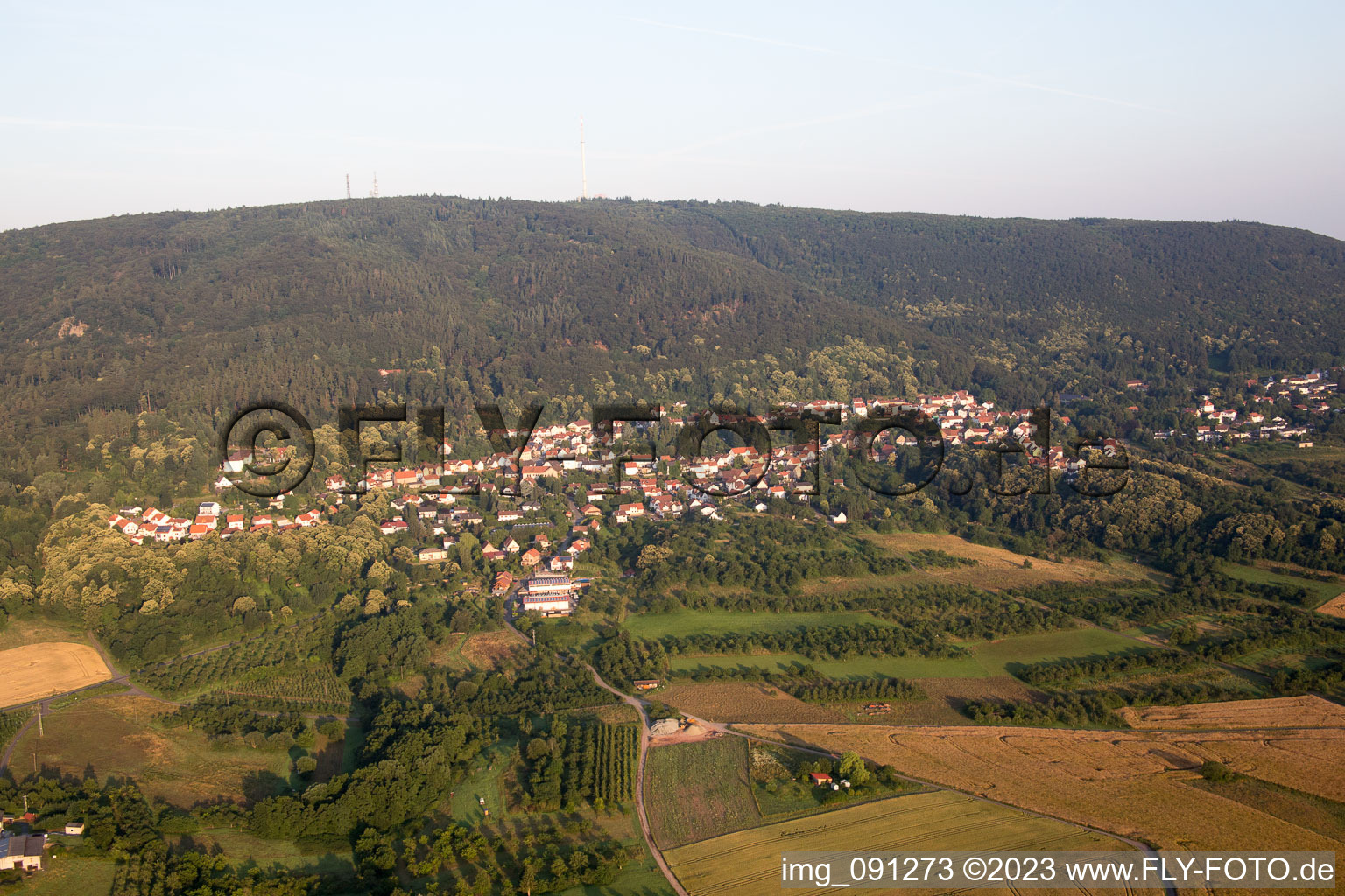 Dannenfels in the state Rhineland-Palatinate, Germany