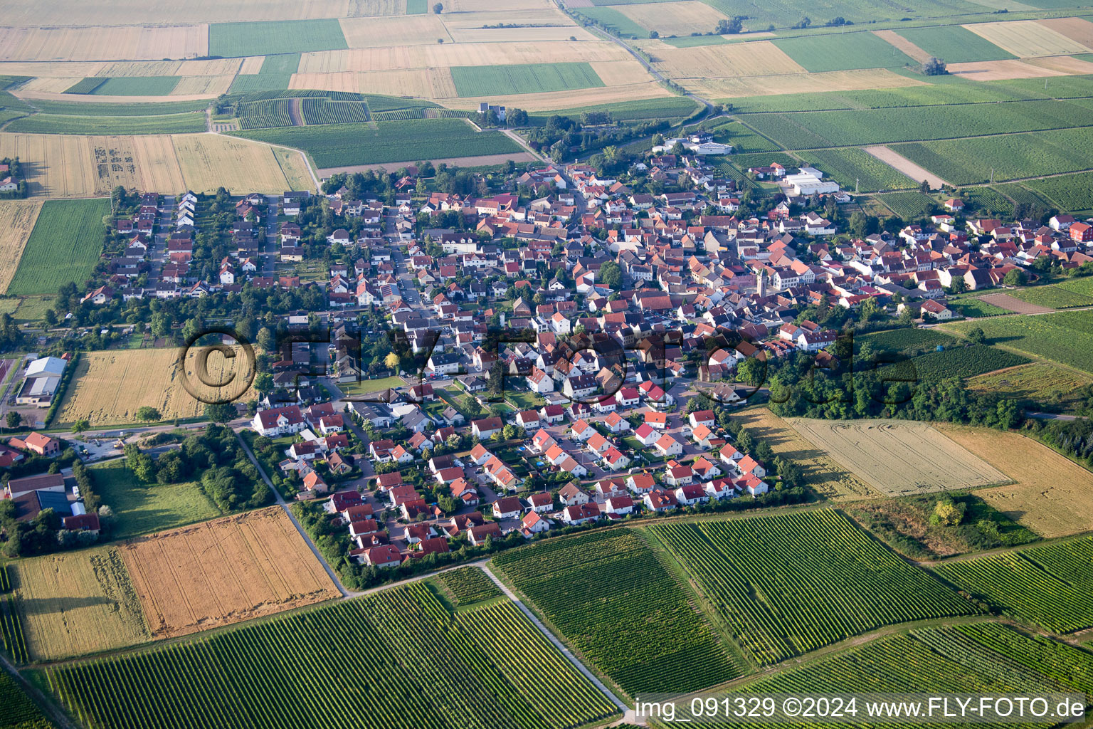 Aerial view of Udenheim in the state Rhineland-Palatinate, Germany