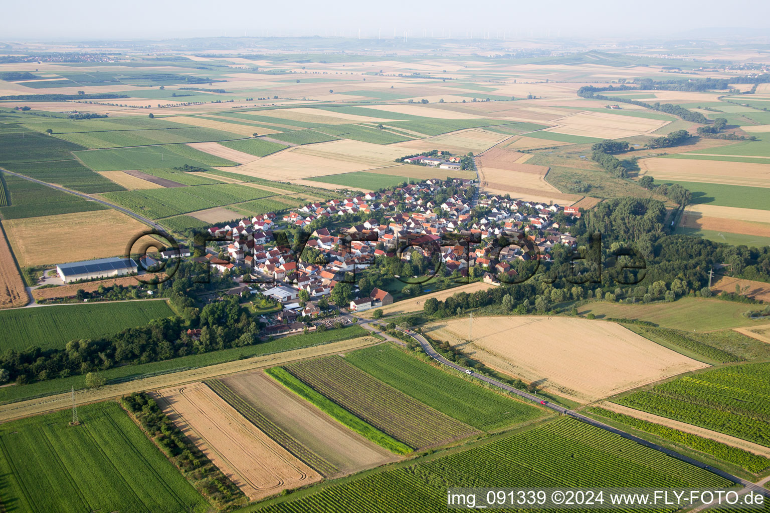 Aerial photograpy of Rheinhessen in Friesenheim in the state Rhineland-Palatinate, Germany