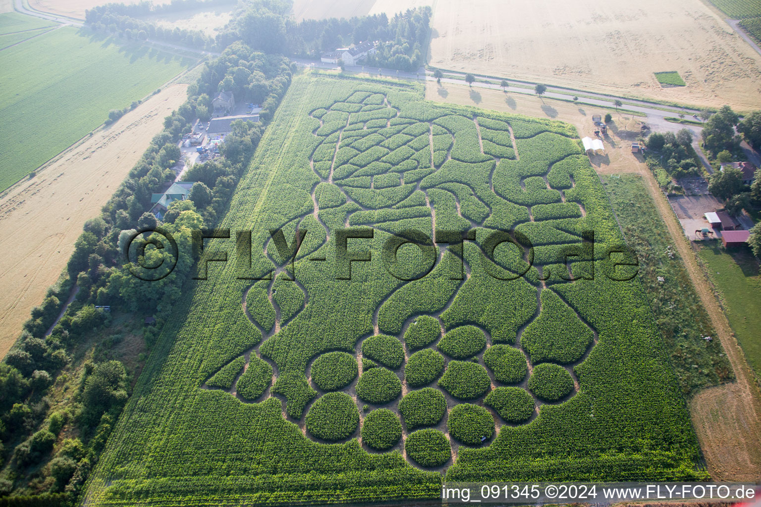 Maze - Labyrinth with the outline of of a Grape in a field in the district Wahlheimer Hof in Dalheim in the state Rhineland-Palatinate