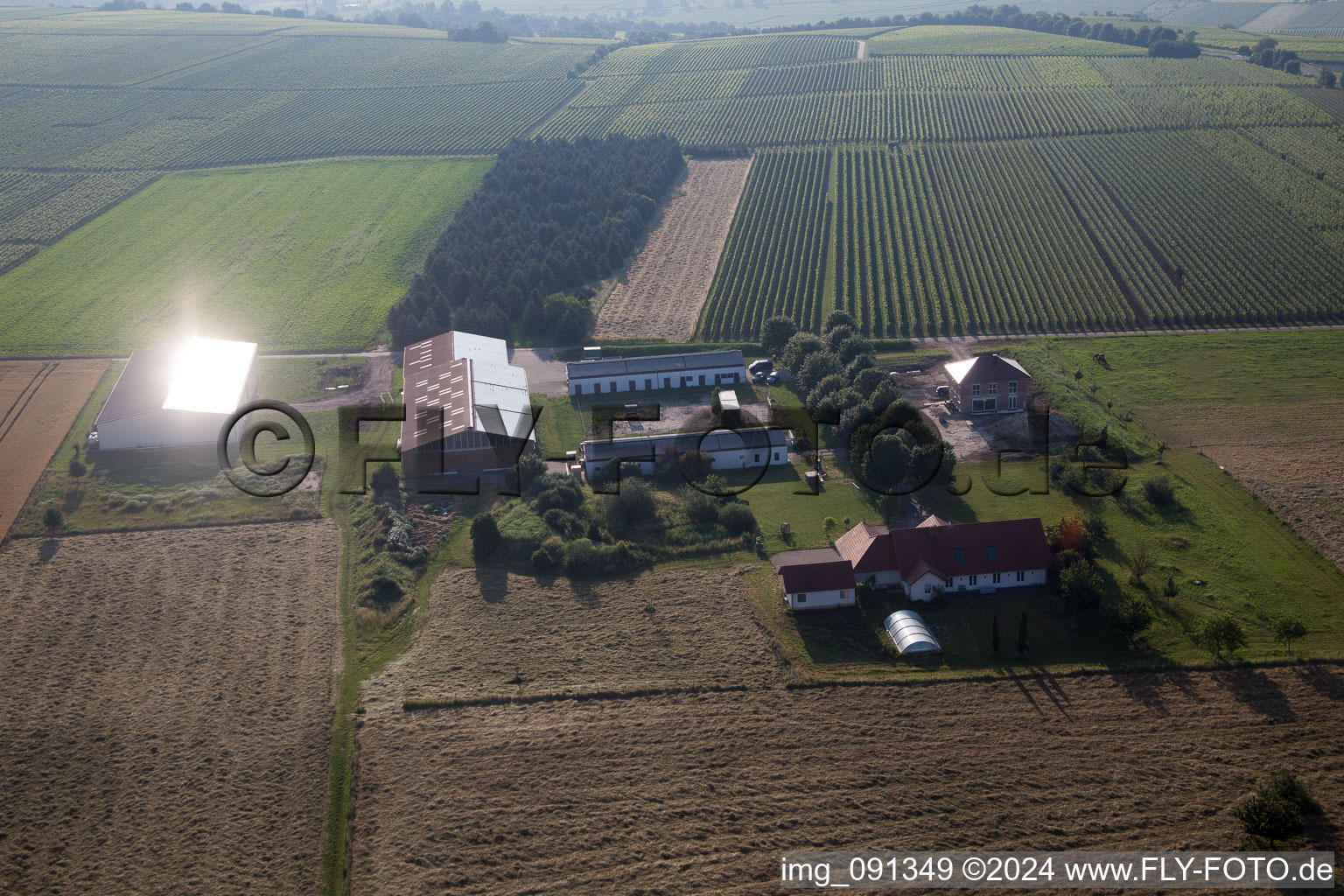 Ludwigshöhe in the state Rhineland-Palatinate, Germany