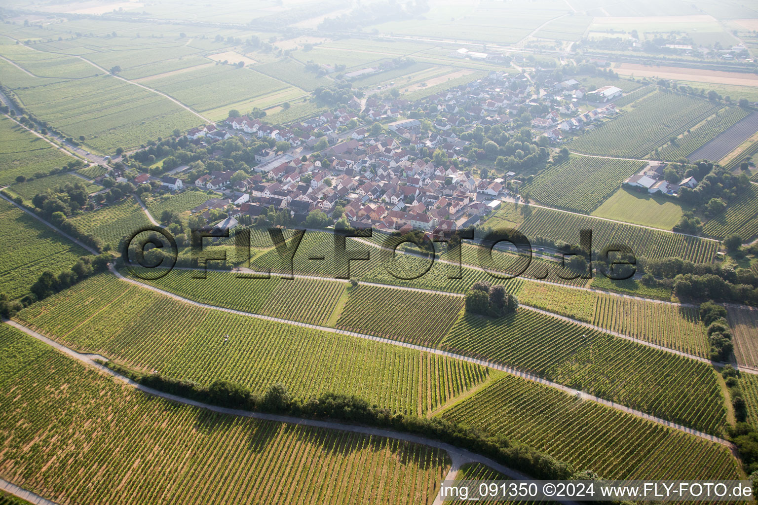 Oblique view of Guntersblum in the state Rhineland-Palatinate, Germany