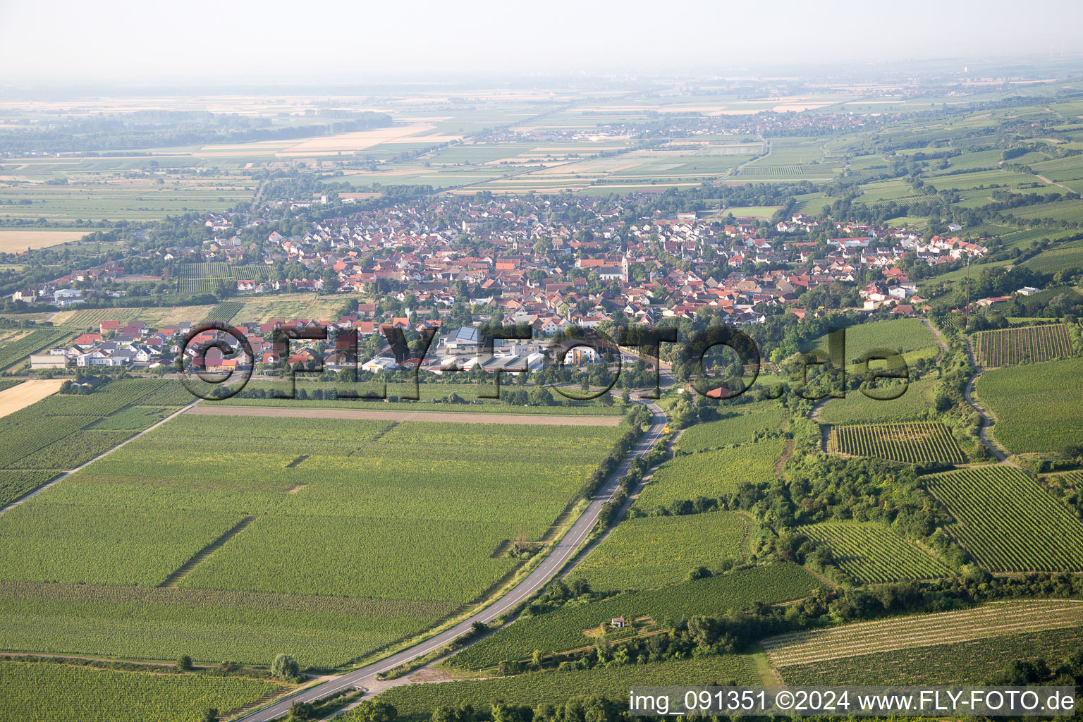 Guntersblum in the state Rhineland-Palatinate, Germany from above