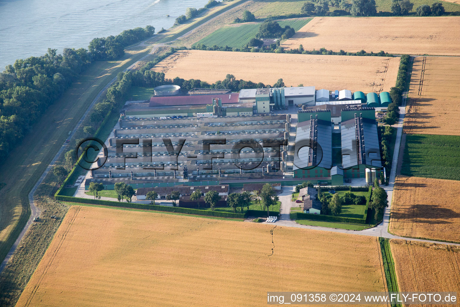 Gimbsheim in the state Rhineland-Palatinate, Germany viewn from the air