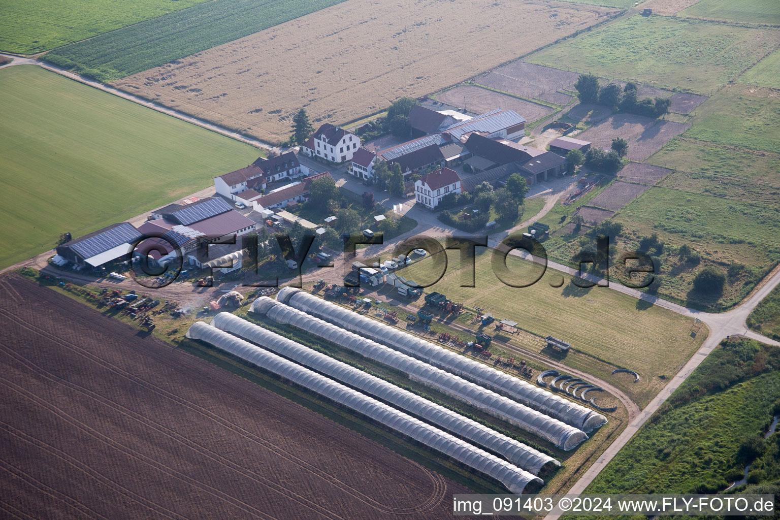 Hähnlein, asparagus and strawberry farm in Alsbach-Hähnlein in the state Hesse, Germany