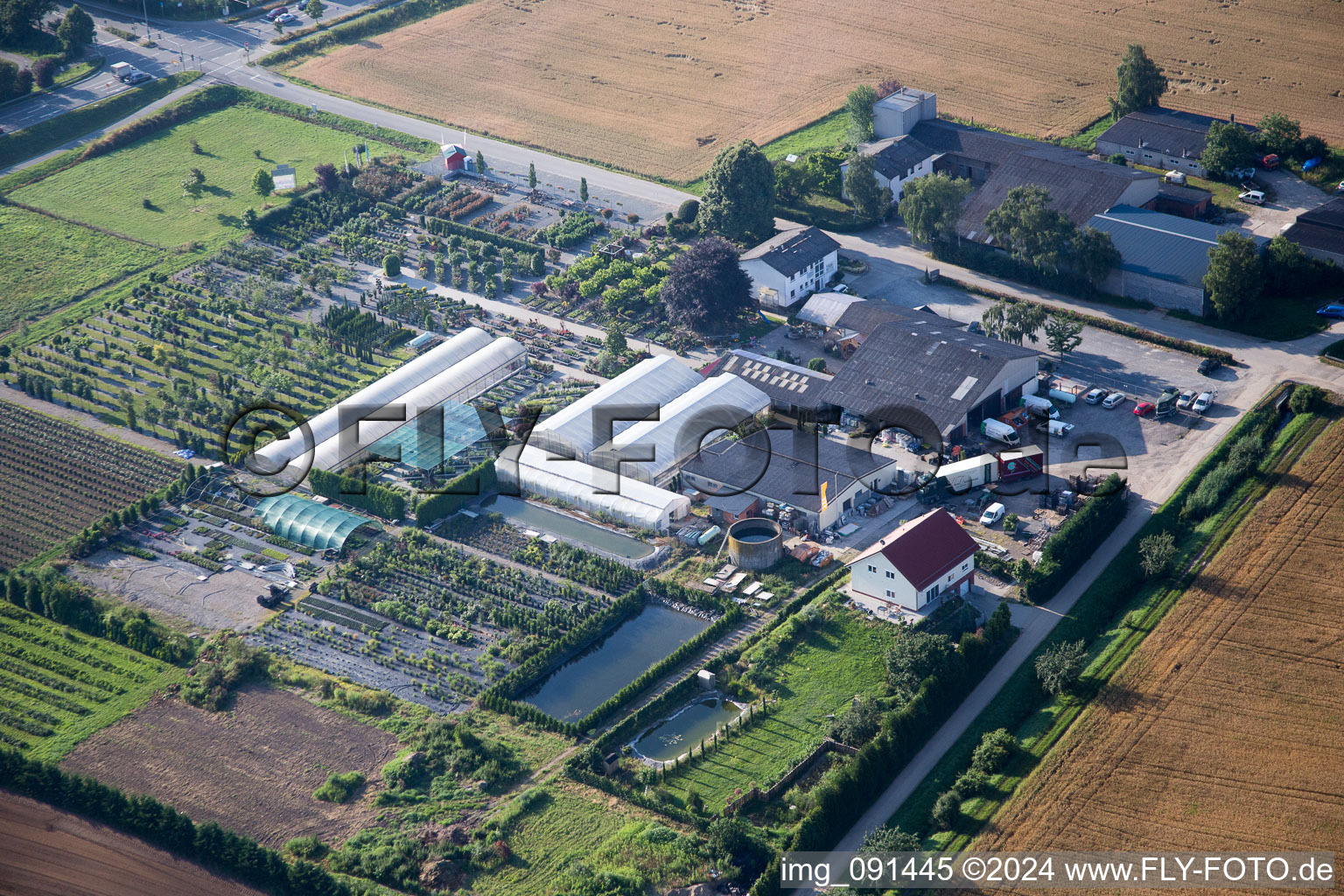 Glass roof surfaces in the greenhouse rows for Floriculture in the district Auerbach in Bensheim in the state Hesse