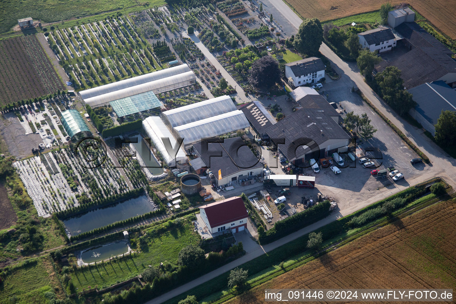 Aerial view of Glass roof surfaces in the greenhouse rows for Floriculture in the district Auerbach in Bensheim in the state Hesse