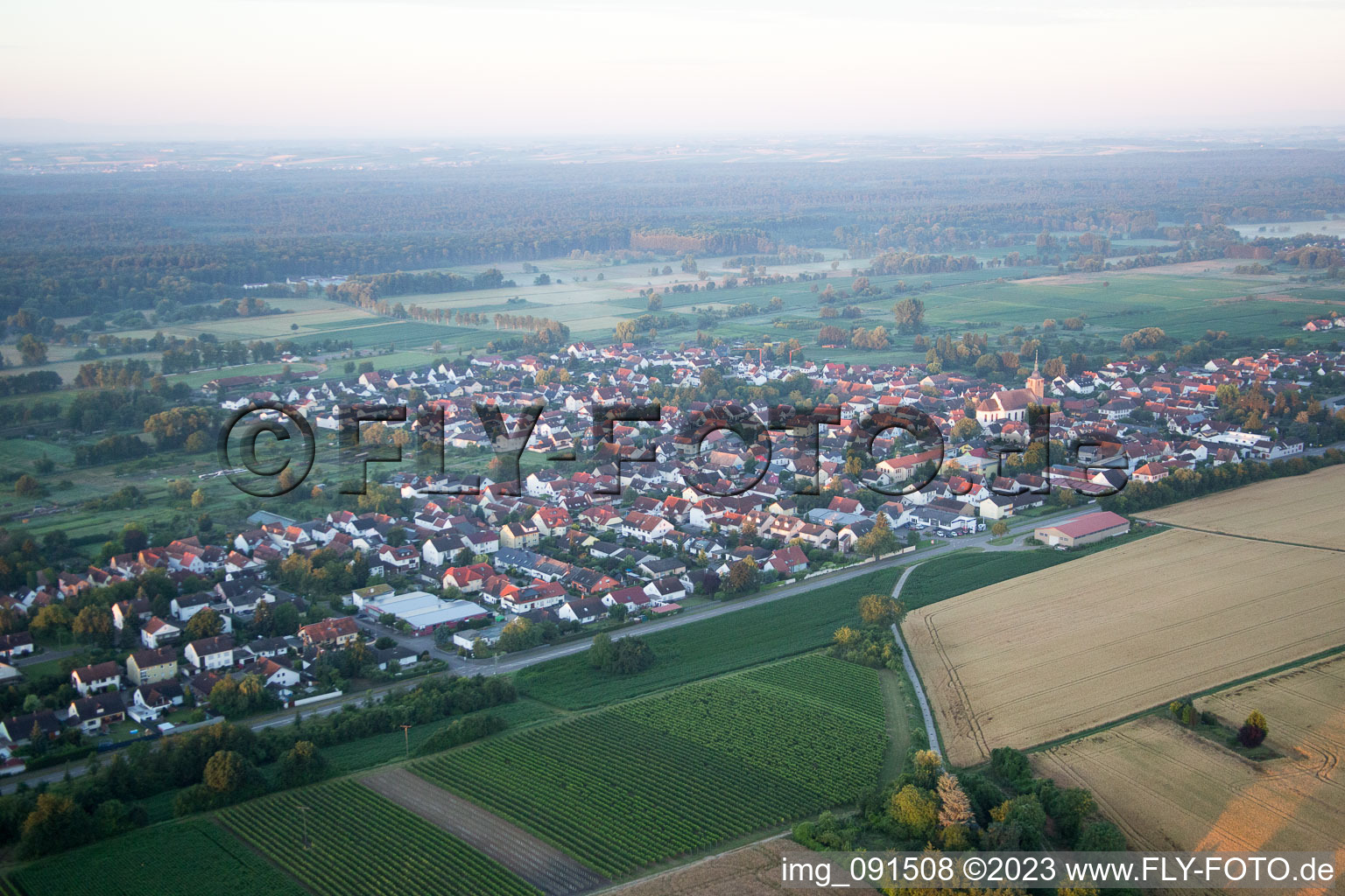 Steinfeld in the state Rhineland-Palatinate, Germany from the drone perspective