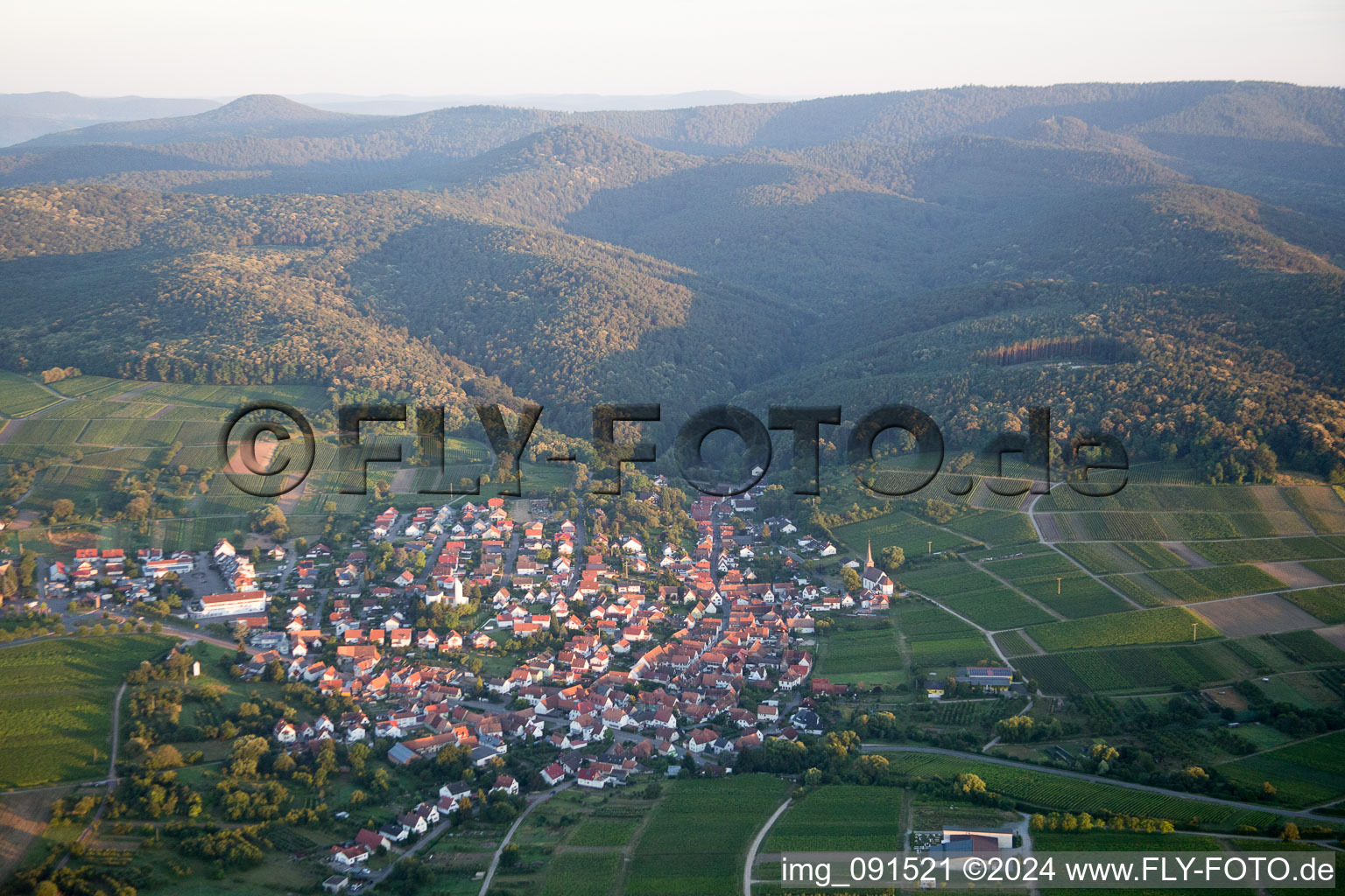 Bird's eye view of District Rechtenbach in Schweigen-Rechtenbach in the state Rhineland-Palatinate, Germany