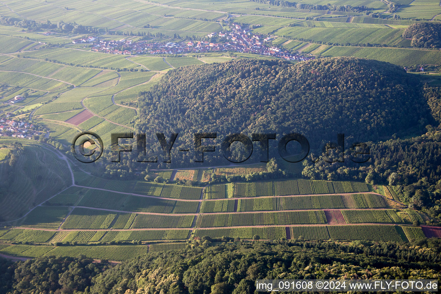 Keschdebusch in Ranschbach in the state Rhineland-Palatinate, Germany