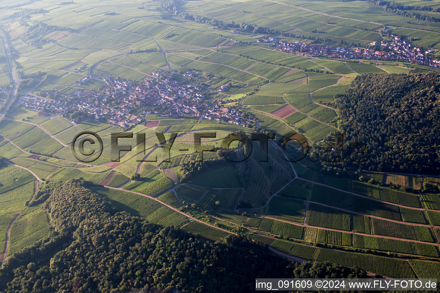 Village view of Birkweiler in the state Rhineland-Palatinate