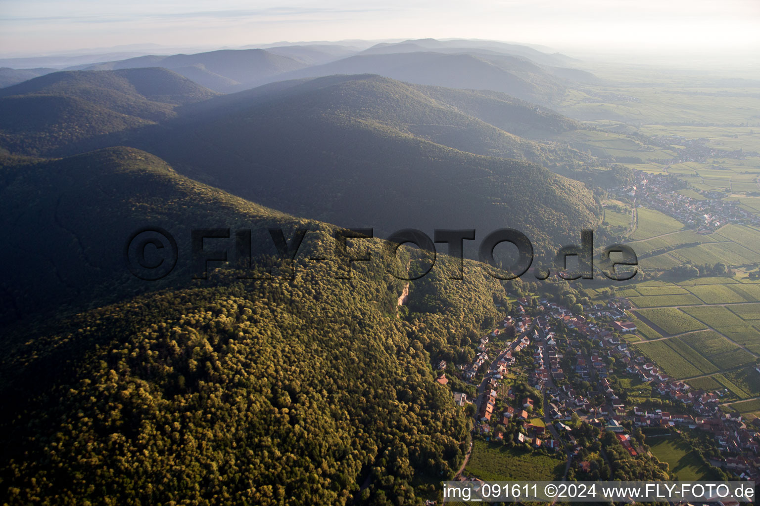 Aerial view of Village - view on the edge of wine yards in Frankweiler in the state Rhineland-Palatinate, Germany