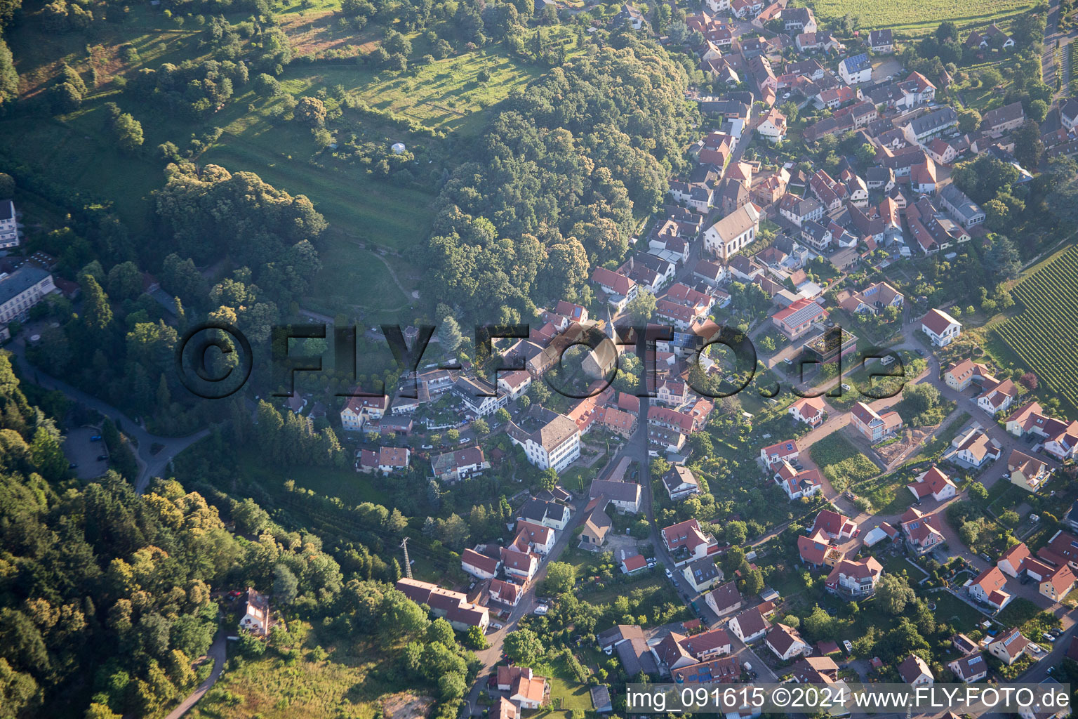 Frankweiler in the state Rhineland-Palatinate, Germany from above