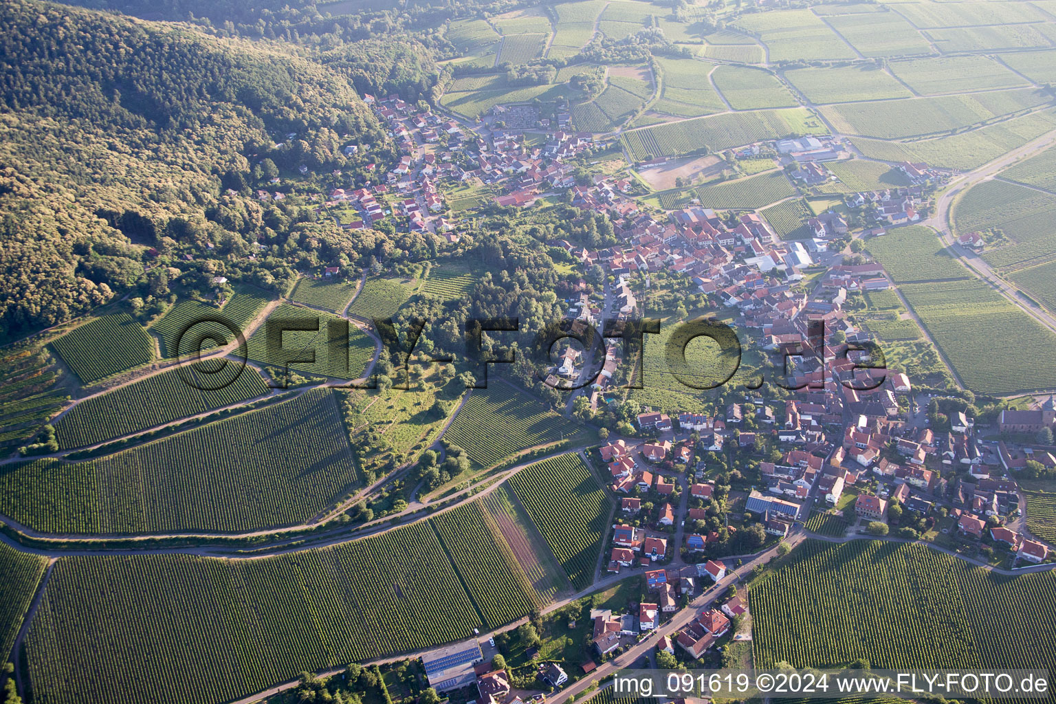 Oblique view of Gleisweiler in the state Rhineland-Palatinate, Germany